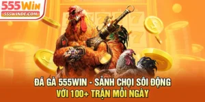 Đá Gà 555win - Sảnh Chọi Sôi Động Với 100+ Trận Mỗi Ngày